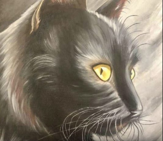 Nostradamus predicted that those who have a cat at home will…