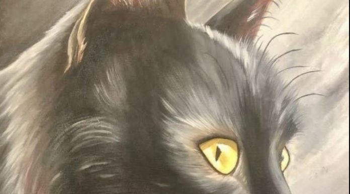 Nostradamus predicted that those who have a cat at home will…