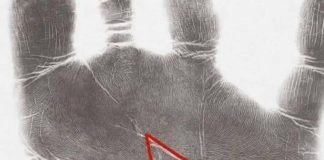 The “M” in Your Palm — Myth, Meaning, and What Science Really Says