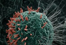 8 of the Best Anti-Cancer Foods. It’s Time to Start Adding them to Your Diet