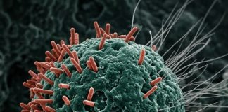 8 of the Best Anti-Cancer Foods. It’s Time to Start Adding them to Your Diet