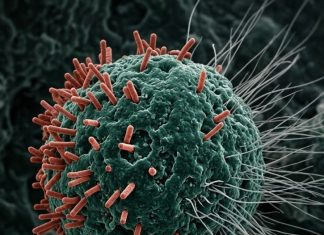 8 of the Best Anti-Cancer Foods. It’s Time to Start Adding them to Your Diet