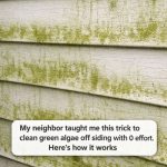 My neighbor taught me this trick to clean green algae off siding with 0 effort. Here’s how it works