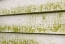 My neighbor taught me this trick to clean green algae off siding with 0 effort. Here’s how it works