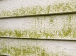 My neighbor taught me this trick to clean green algae off siding with 0 effort. Here’s how it works
