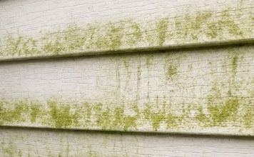 My neighbor taught me this trick to clean green algae off siding with 0 effort. Here’s how it works