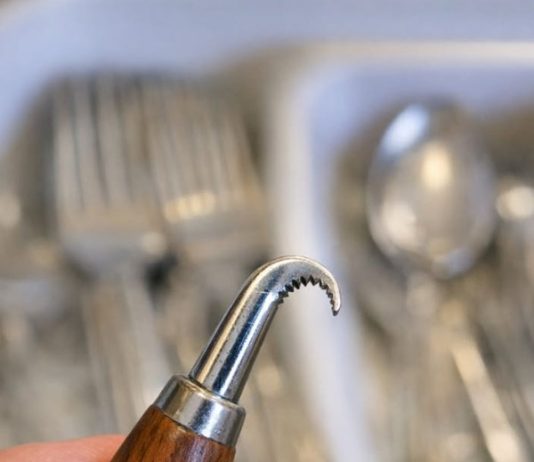 Small metal tool with a hooked, serrated end and a wooden handle. Found it mixed in with old silverware. Too sharp to be a spoon, too curved for a knife.