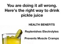 You are doing it all wrong. Here’s the right way to drink pickle juice