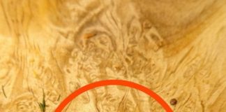 I was cooking ground beef and when I took it out of the pan, I noticed a strange object that didn’t look like beef.