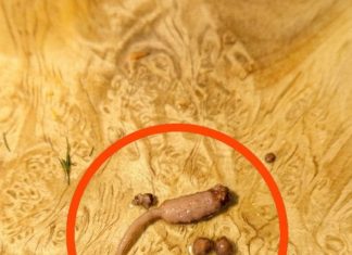 I was cooking ground beef and when I took it out of the pan, I noticed a strange object that didn’t look like beef.