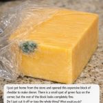 I just got home from the store and opened this expensive block of cheddar to make dinner. There is a small spot of green fuzz on the corner, but the rest of the block looks completely fine. Do I just