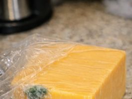 I just got home from the store and opened this expensive block of cheddar to make dinner. There is a small spot of green fuzz on the corner, but the rest of the block looks completely fine. Do I just