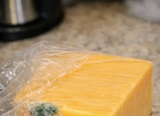I just got home from the store and opened this expensive block of cheddar to make dinner. There is a small spot of green fuzz on the corner, but the rest of the block looks completely fine. Do I just