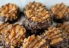 Easy No-Bake Samoa Cookies