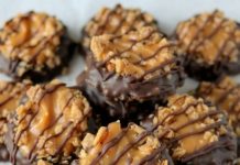 Easy No-Bake Samoa Cookies