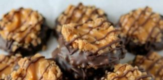 Easy No-Bake Samoa Cookies