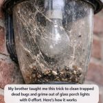 My brother taught me this trick to clean trapped dead bugs and grime out of glass porch lights with 0 effort. Here’s how it works