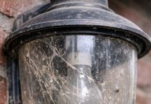 My brother taught me this trick to clean trapped dead bugs and grime out of glass porch lights with 0 effort. Here’s how it works