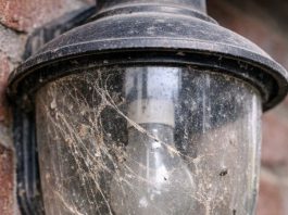 My brother taught me this trick to clean trapped dead bugs and grime out of glass porch lights with 0 effort. Here’s how it works