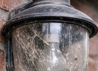 My brother taught me this trick to clean trapped dead bugs and grime out of glass porch lights with 0 effort. Here’s how it works