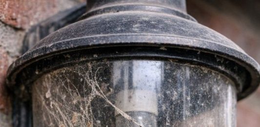 My brother taught me this trick to clean trapped dead bugs and grime out of glass porch lights with 0 effort. Here’s how it works