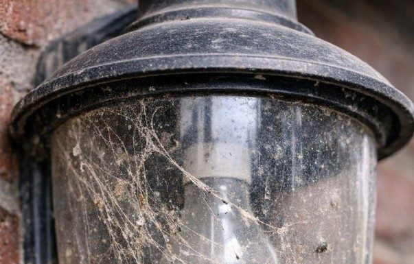 My brother taught me this trick to clean trapped dead bugs and grime out of glass porch lights with 0 effort. Here’s how it works