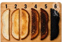 Which Toast Is Perfect