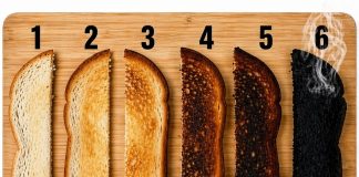 Which Toast Is Perfect