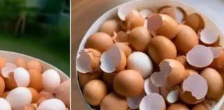 Can Boiling Eggshells Help With Disease? What’s The Truth?