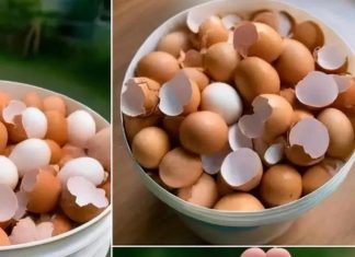 Can Boiling Eggshells Help With Disease? What’s The Truth?