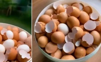 Can Boiling Eggshells Help With Disease? What’s The Truth?