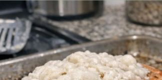 Cooked this salmon and weird white stuff exploded out of it. Are these worms?