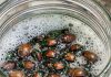 Leave this 1 mixture near your garden and get rid of Japanese beetles, June bugs, and lawn pests