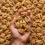 Proven Health Benefits of Walnuts, How Many to Eat, and More (Science Based)
