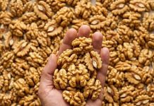 Proven Health Benefits of Walnuts, How Many to Eat, and More (Science Based)