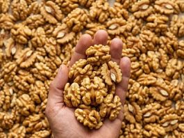 Proven Health Benefits of Walnuts, How Many to Eat, and More (Science Based)