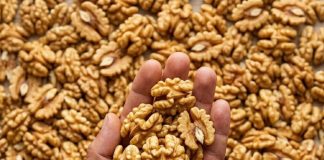 Proven Health Benefits of Walnuts, How Many to Eat, and More (Science Based)