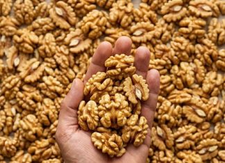 Proven Health Benefits of Walnuts, How Many to Eat, and More (Science Based)