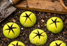 Slice open old tennis balls and bury them around your tomatoes and neighbors will think you’ve lost your mind until they see what happens