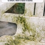 My father-in-law taught me this trick to remove green mildew from patio chairs with 0 effort. Here’s how it works