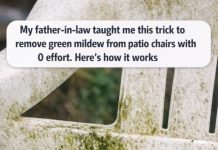 My father-in-law taught me this trick to remove green mildew from patio chairs with 0 effort. Here’s how it works