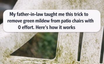 My father-in-law taught me this trick to remove green mildew from patio chairs with 0 effort. Here’s how it works