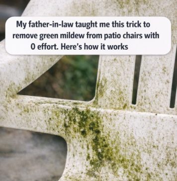 My father-in-law taught me this trick to remove green mildew from patio chairs with 0 effort. Here’s how it works