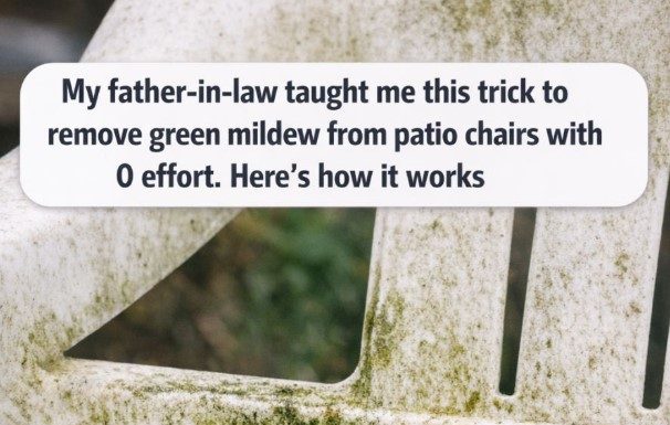 My father-in-law taught me this trick to remove green mildew from patio chairs with 0 effort. Here’s how it works