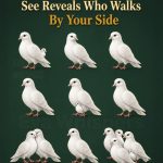 The Number of Doves You See First Reveals Who Walks Beside You