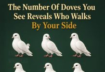 The Number of Doves You See First Reveals Who Walks Beside You