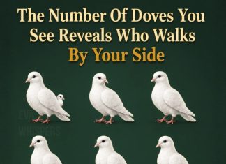 The Number of Doves You See First Reveals Who Walks Beside You