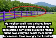If You Spot a Painted Purple Fence, This Is What It Means