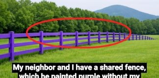 If You Spot a Painted Purple Fence, This Is What It Means
