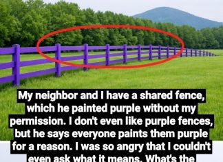 If You Spot a Painted Purple Fence, This Is What It Means